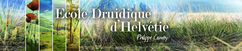 Ecole Druidique d'Helvétie